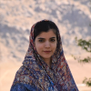 راضیه مرادی